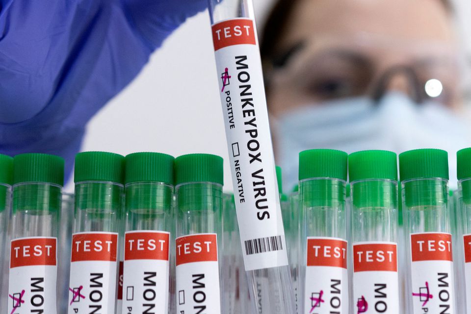 vaccine dau mua khi