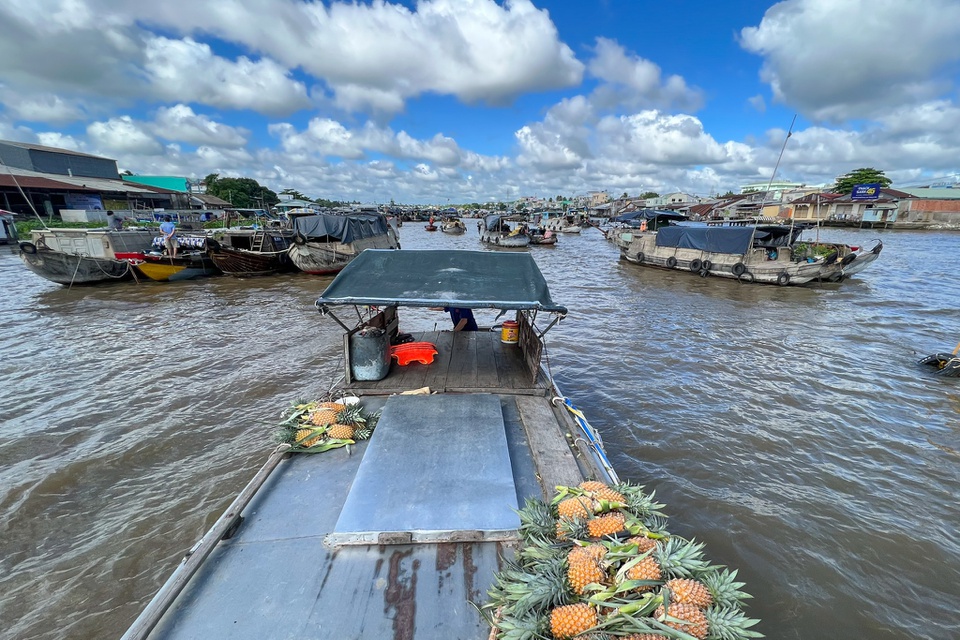 sieu du thuyn ty phu anh den can tho 1