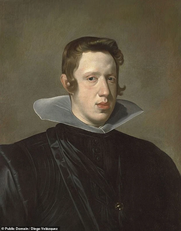 Habsburg ham banh 1