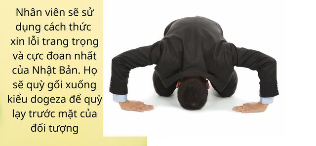 dich vu xin loi ho 1