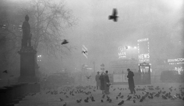 suong mu london 1952 1