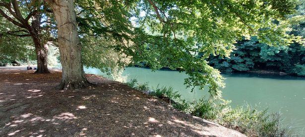 Ray Mill Island 1