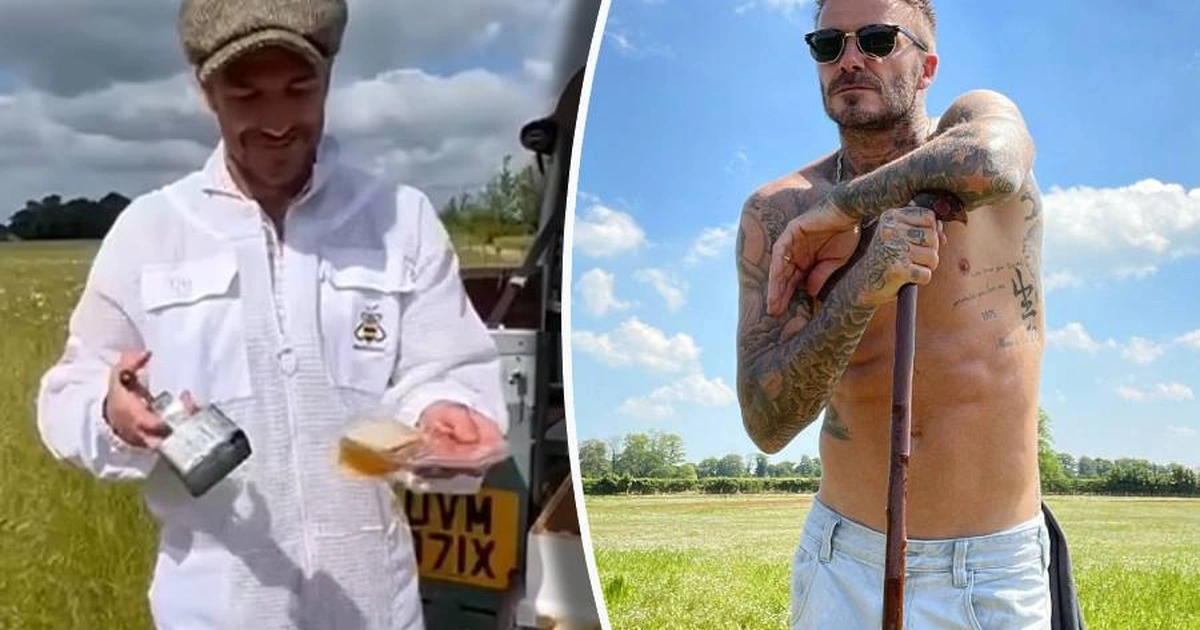beckham tien de ra tien 2