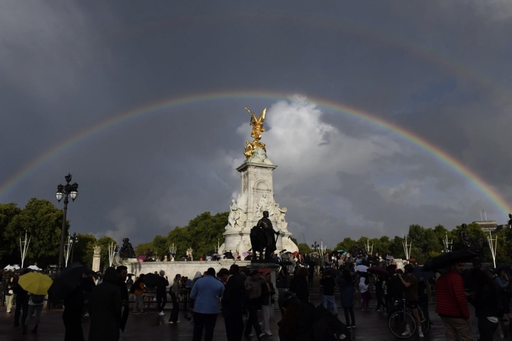 cau vong doi dien buckingham 06193991