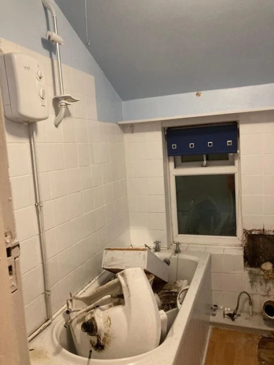chu nha cay toilet 1