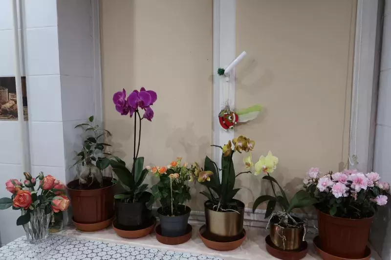 nguoi viet ukraine ti nan tai anh 1