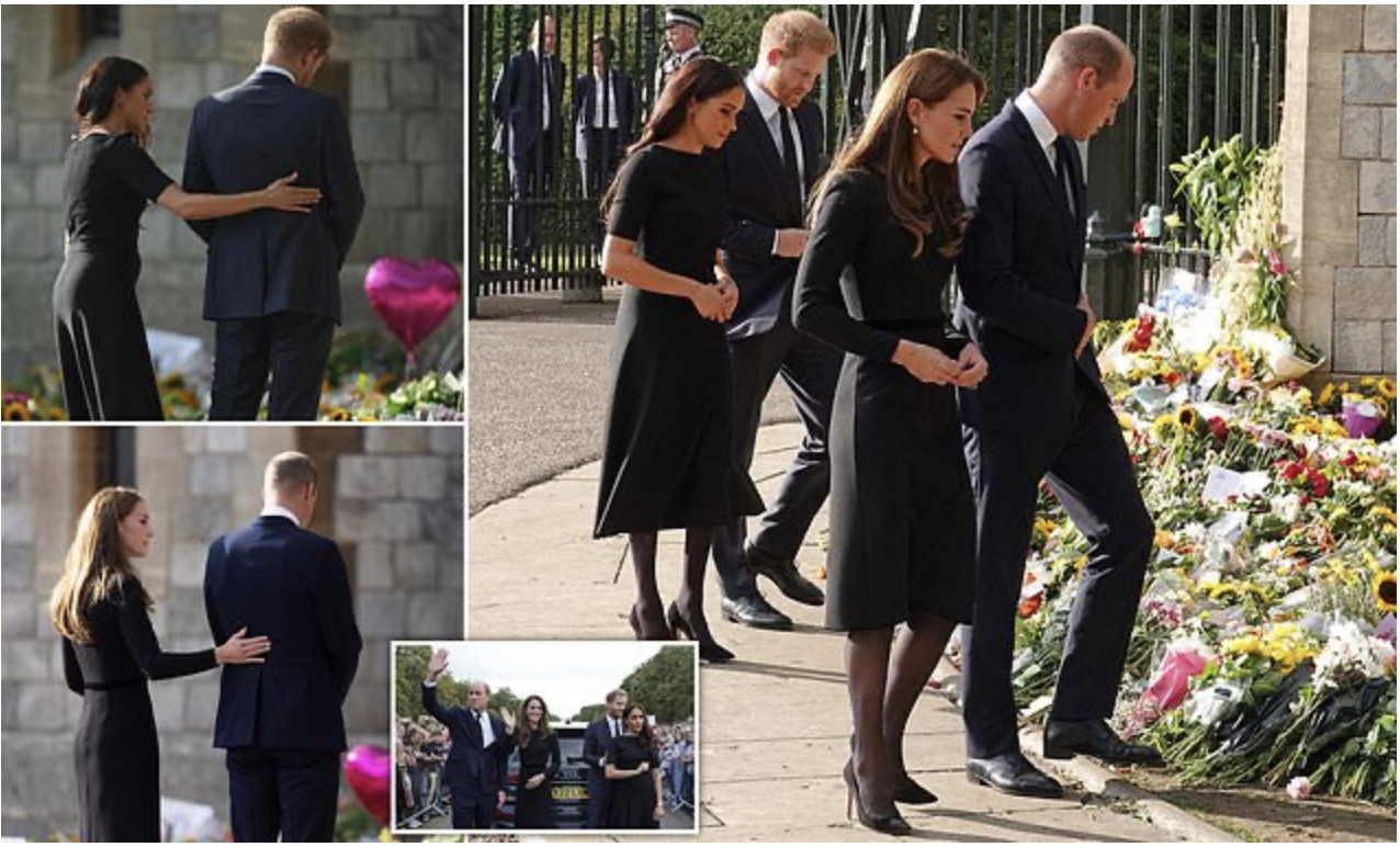william harry nu hoang 1