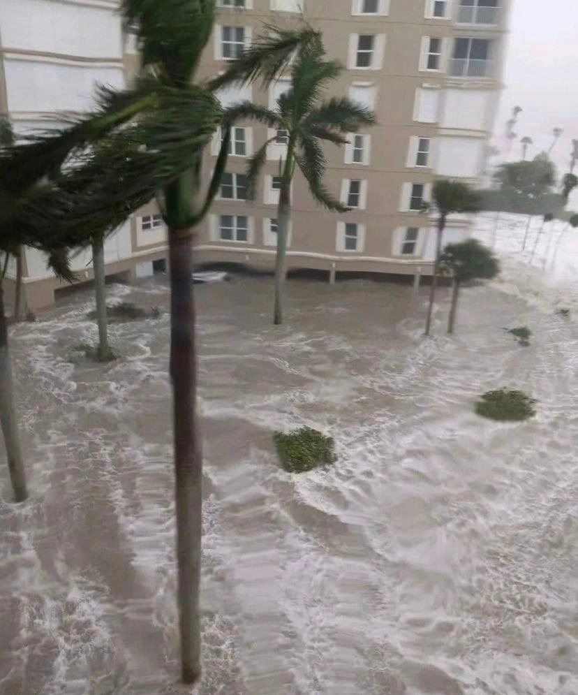 bao ian o florida 0