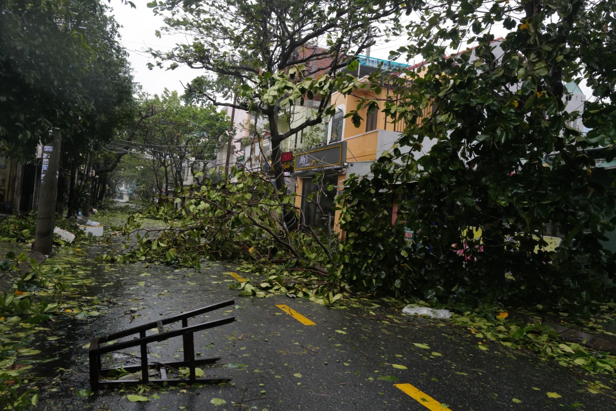 bao noru da nang hoi an 1