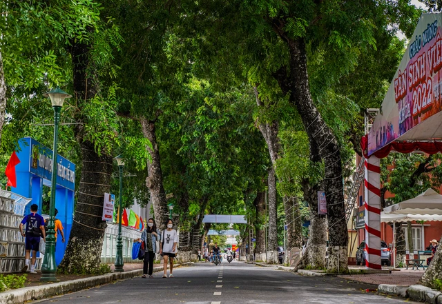 dai hoc ha noi 1