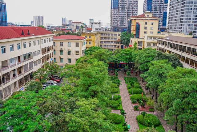 dai hoc ha noi 1