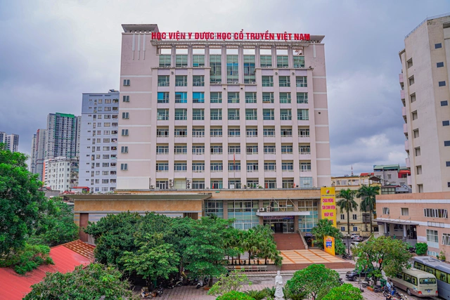 dai hoc ha noi 1
