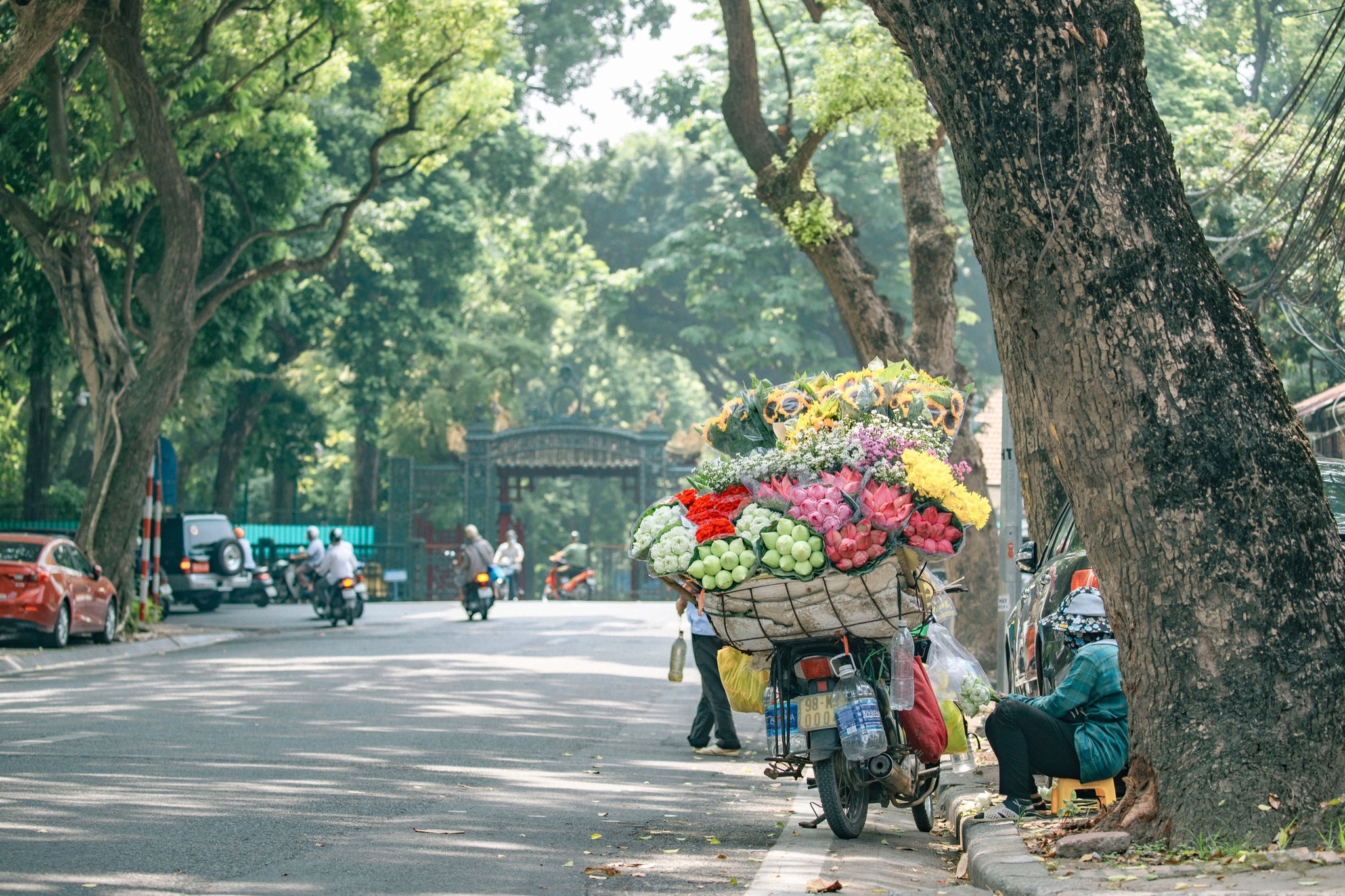 du lich viet nam 1