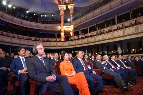 gia toc giau co nhat viet nam 4