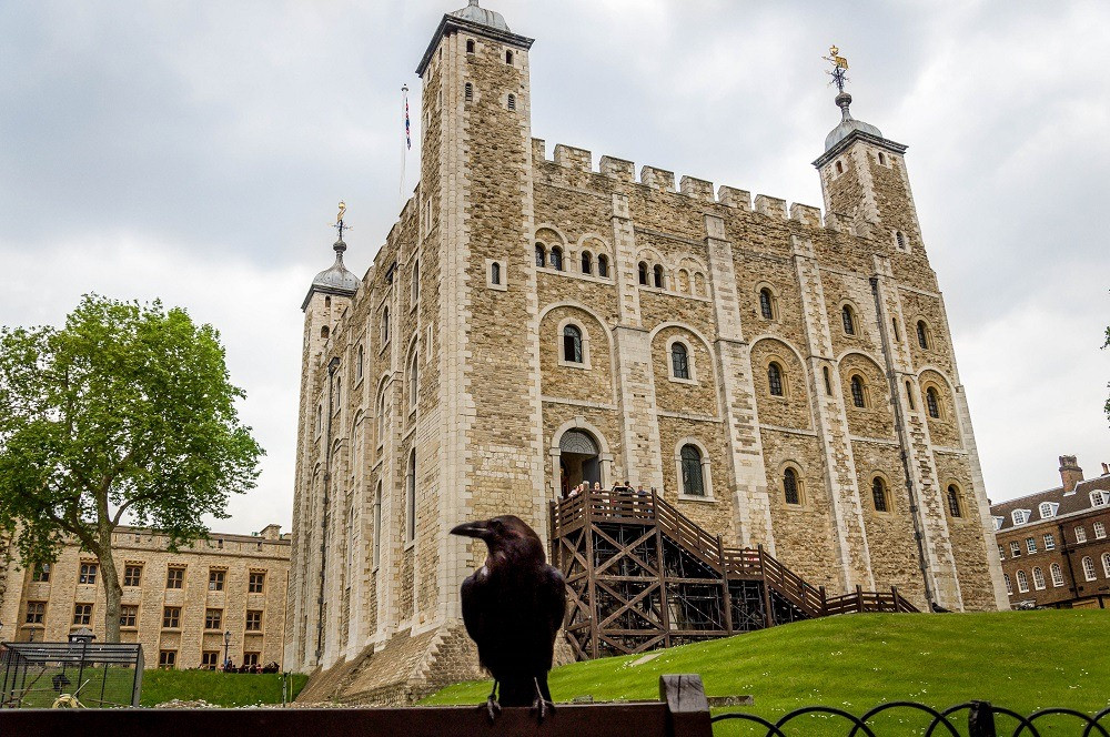 loai qua den o thap london 1