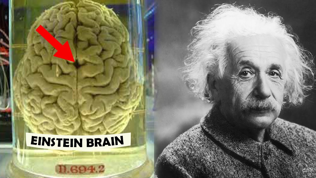 nao cua einstein