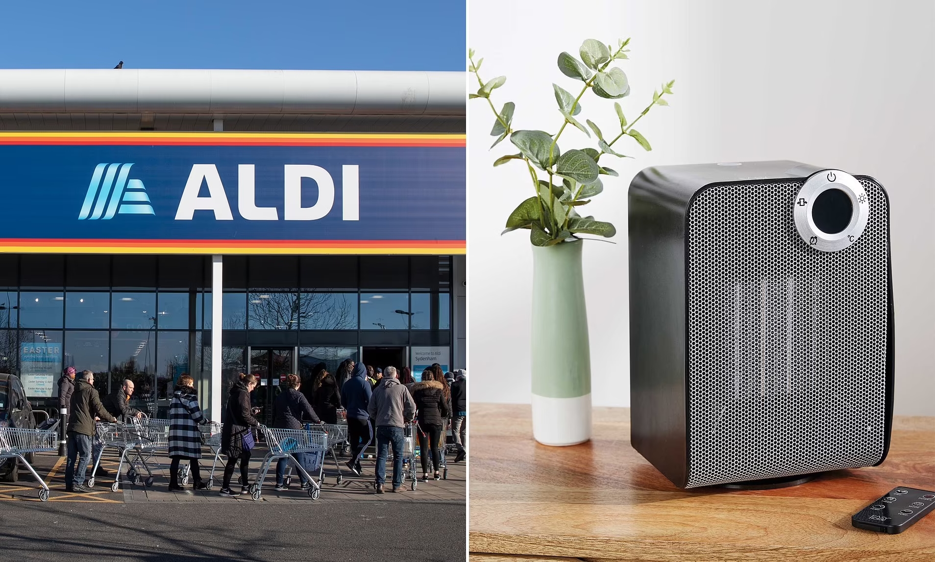 quat suoi aldi 1