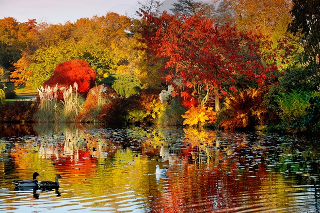 Kew Gardens