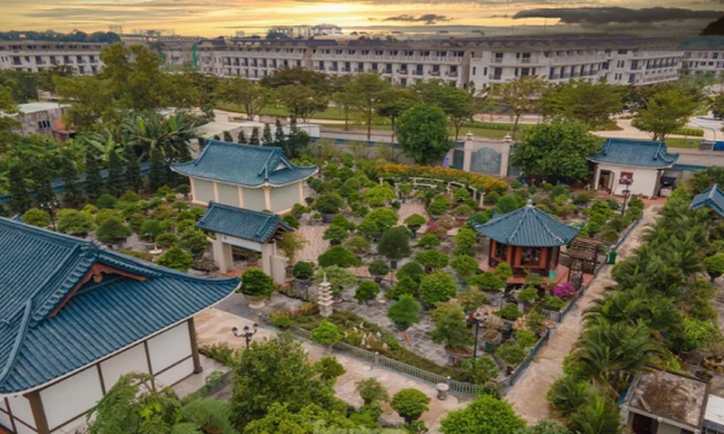 bi thu tinh dong nai 1