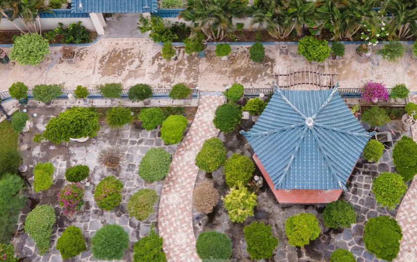 bi thu tinh dong nai 1
