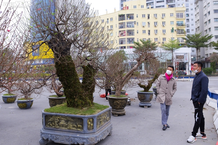 dao co thu chung tet 1