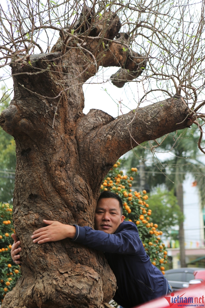 dao thanh hoa 1