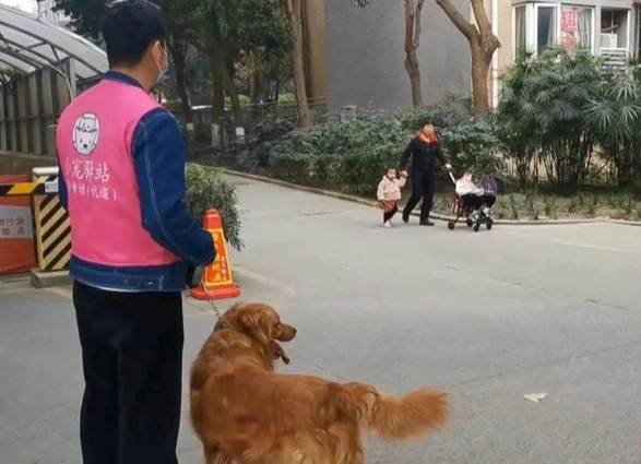 dat cho di dao 3