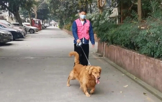 dat cho di dao 3