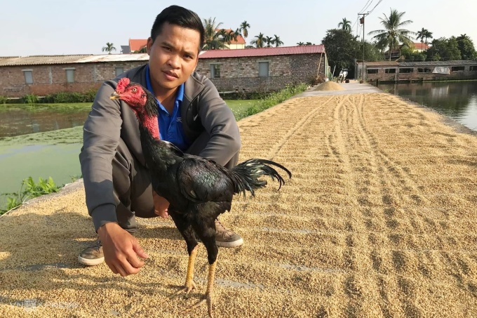 lam giau tu nuoi ga choi 1