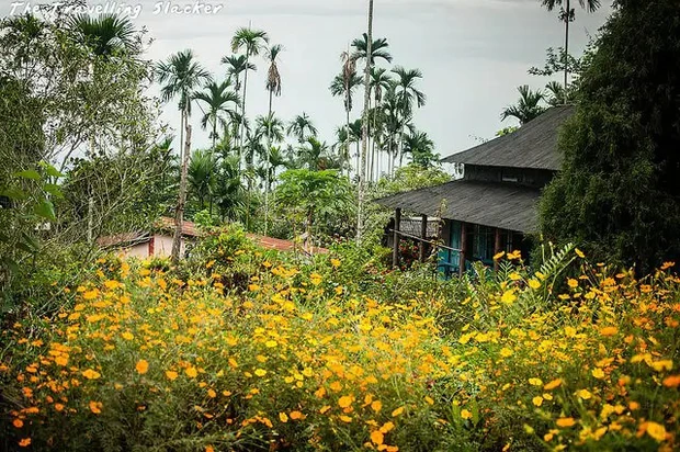 lang Mawlynnong an do 1