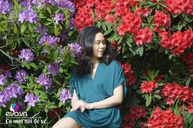 me viet cai tao nha 1