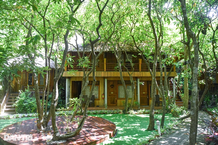 ty phu trinh phuc man cat ba 1