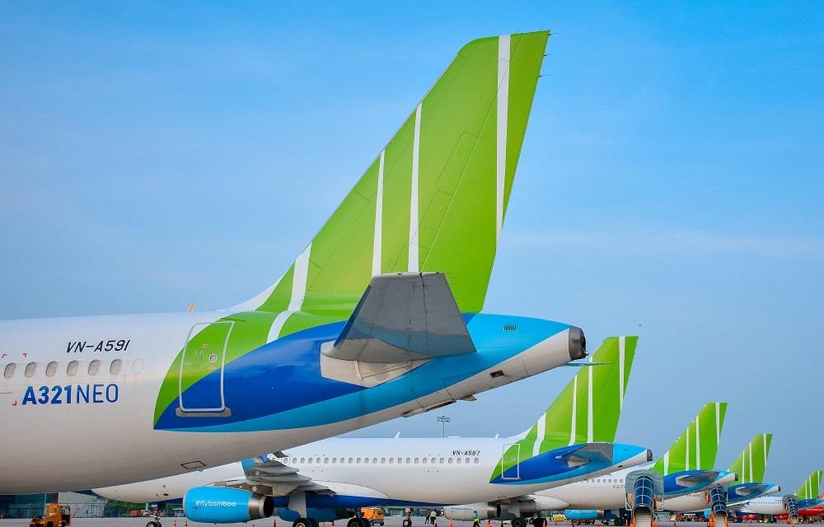 bamboo airways dung khai thac