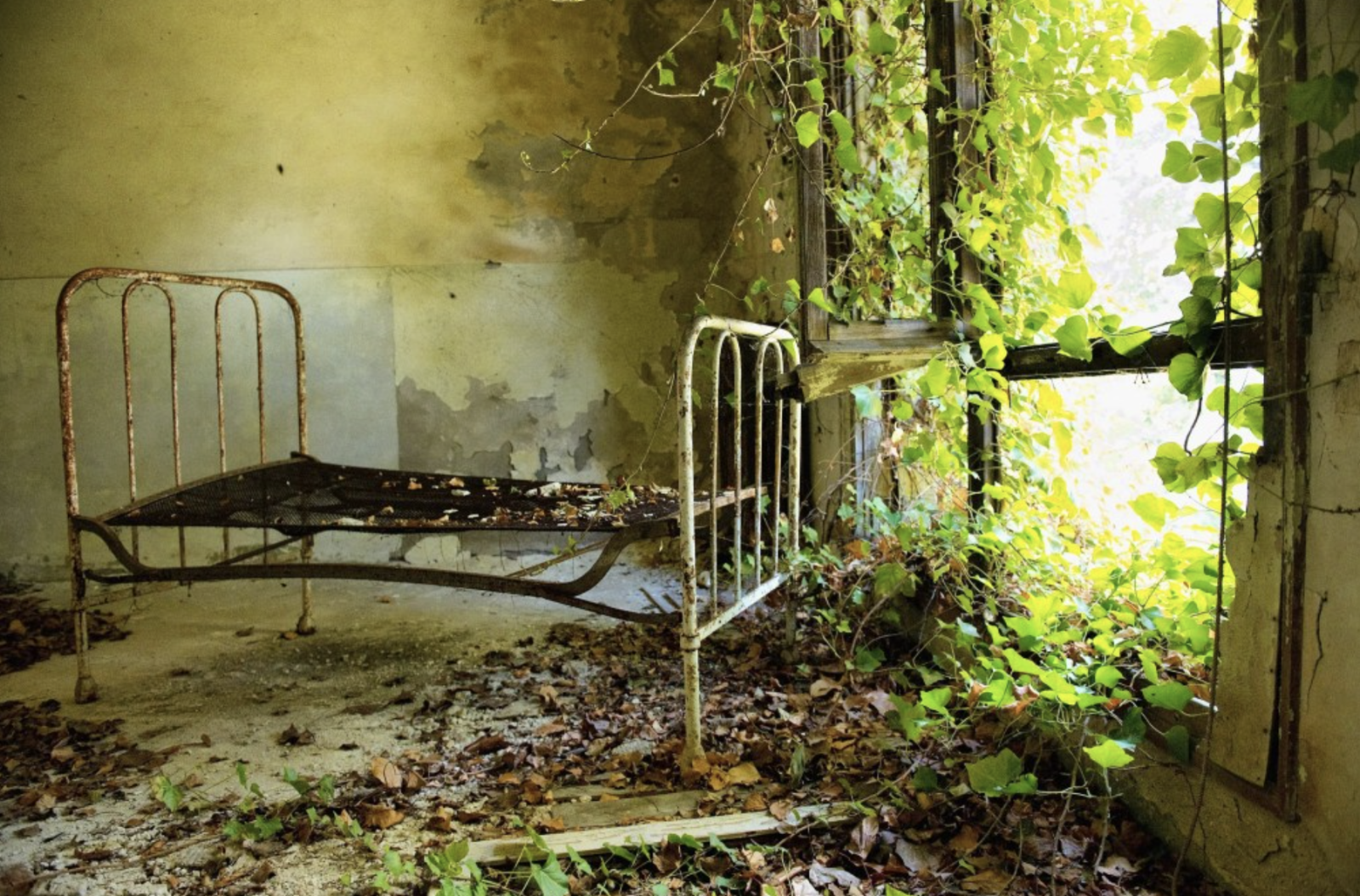 du lich Poveglia 1