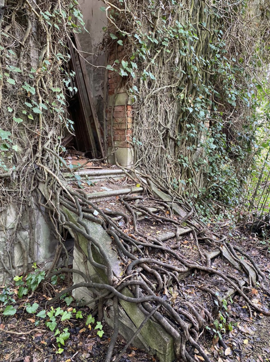 du lich Poveglia 1