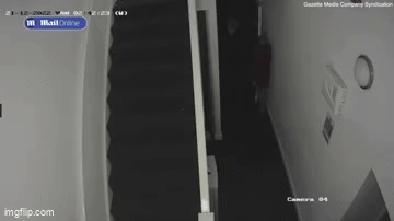ezgif.com video to gif