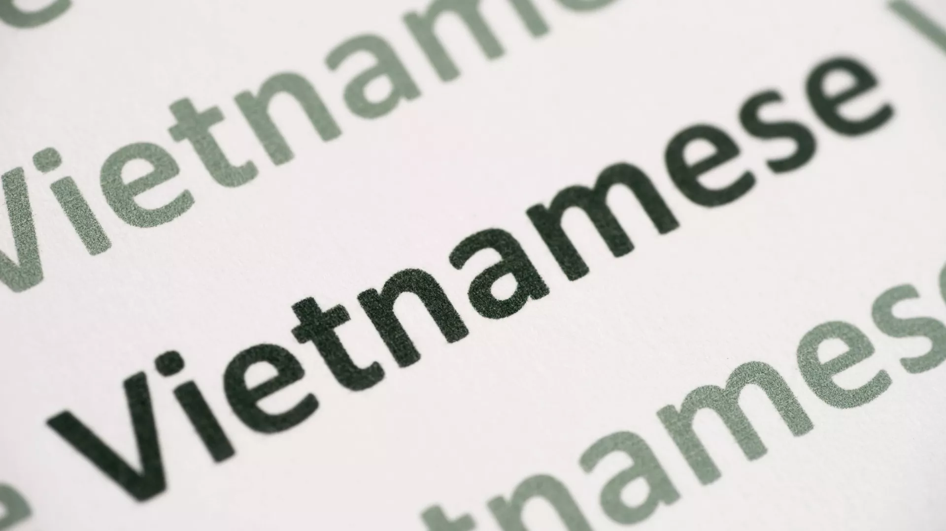tieng viet
