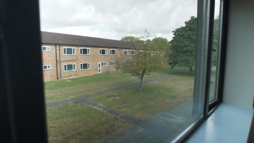 trai ti nan essex 2