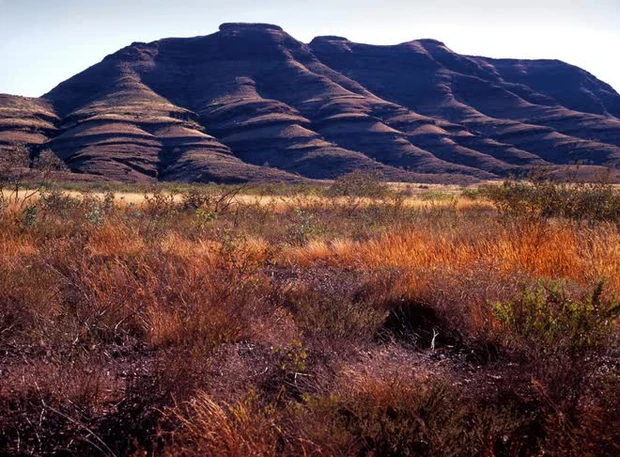 Wittenoom 1