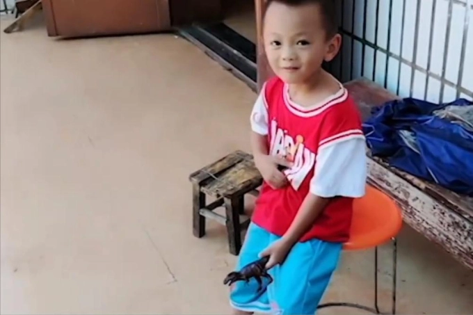 bac trinh 2