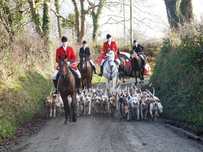 boxing day 2