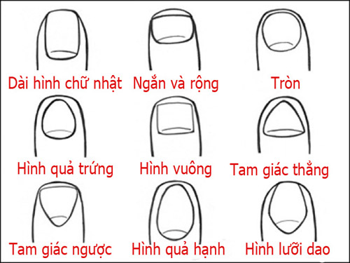 doan tinh cach qua hinh dang mong tay 1