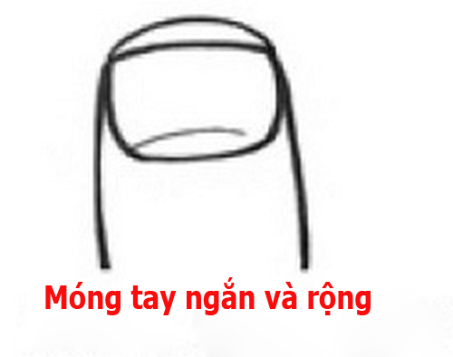 doan tinh cach qua hinh dang mong tay 1