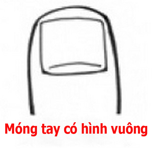 doan tinh cach qua hinh dang mong tay 1