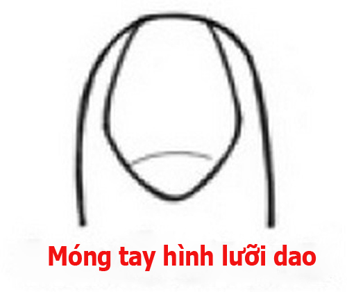 doan tinh cach qua hinh dang mong tay 1