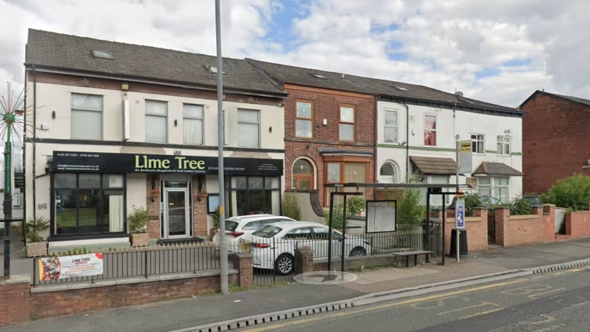 lime tree