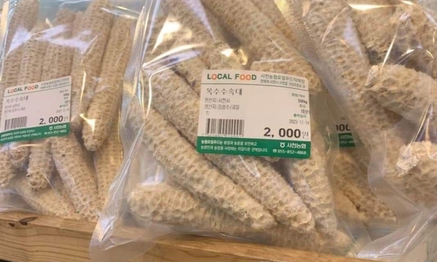 loi ngo 0