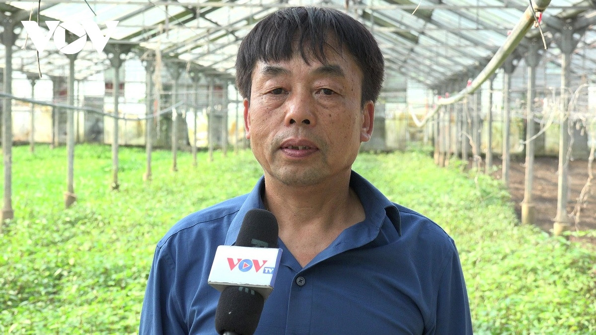 nguoi viet o sec 1