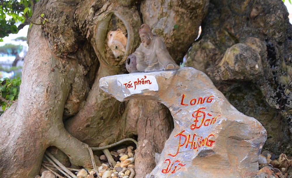 cay duoi long dan phuong vu vinh phuc 1
