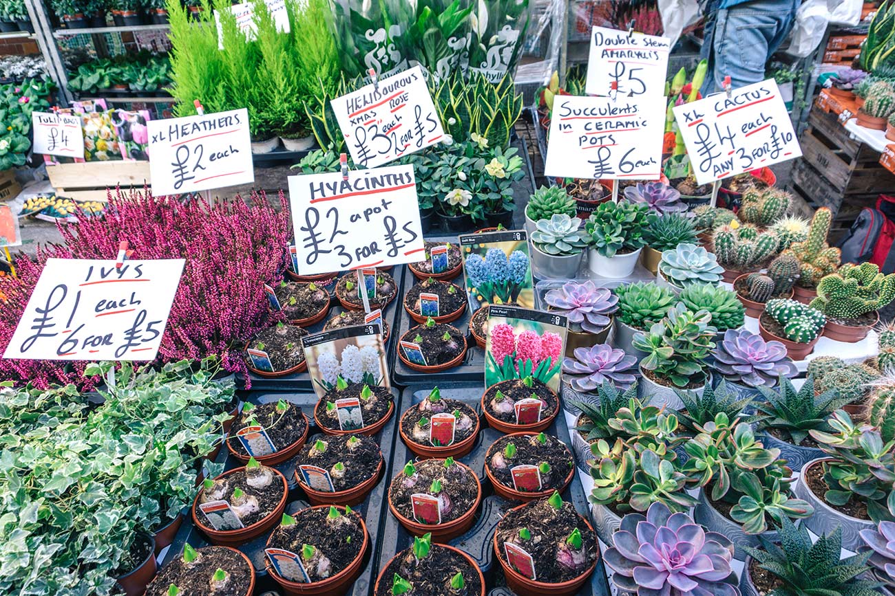 cho Spitalfields Market 1